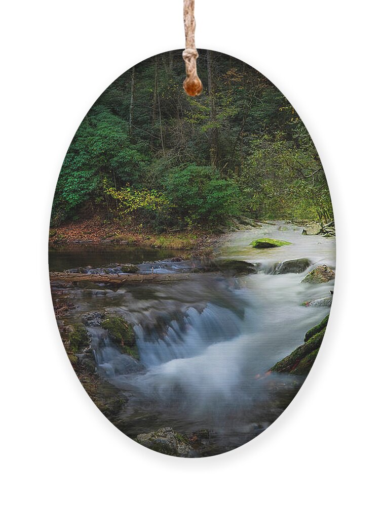 Paint Creek Ornament featuring the photograph Paint Creek by Shelia Hunt