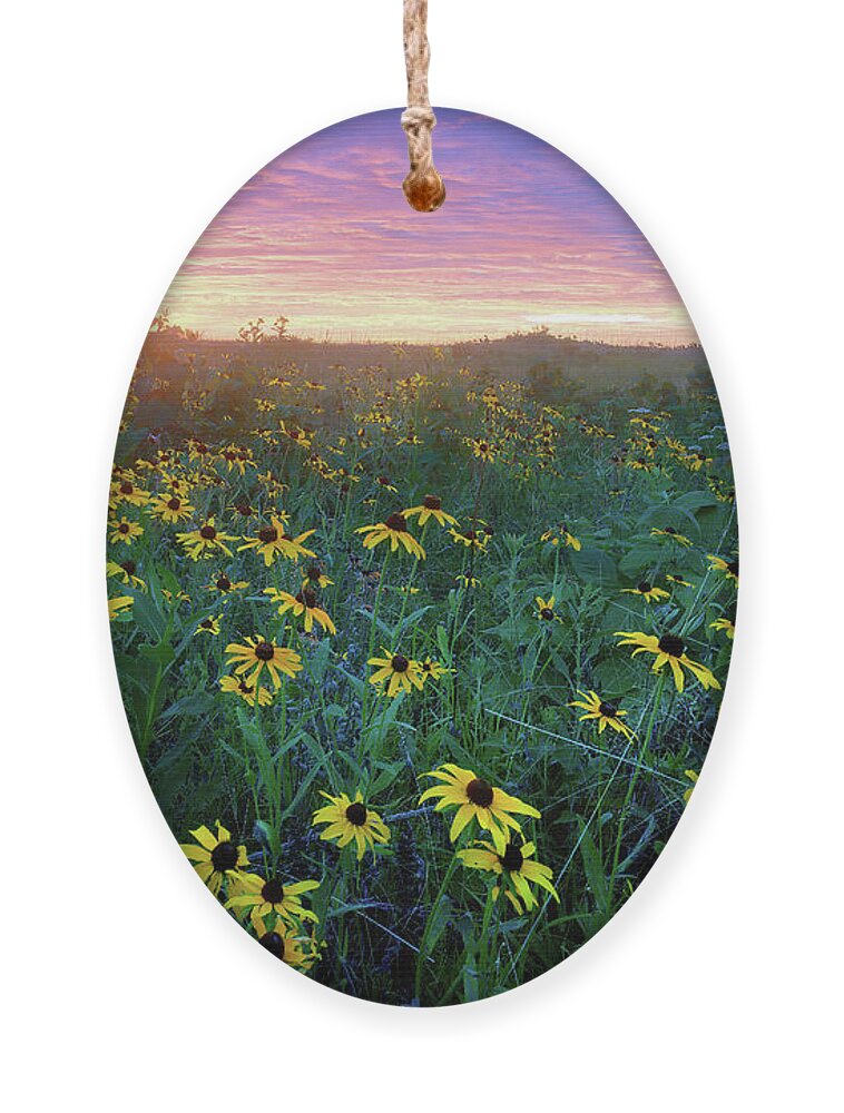 Conservation Area Ornament featuring the photograph Paintbrush Prairie IV by Robert Charity