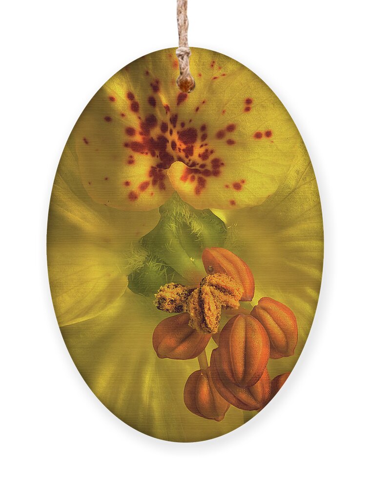 Paloverde Flower Ornament featuring the photograph Paloverde Flower Closeup by Endre Balogh