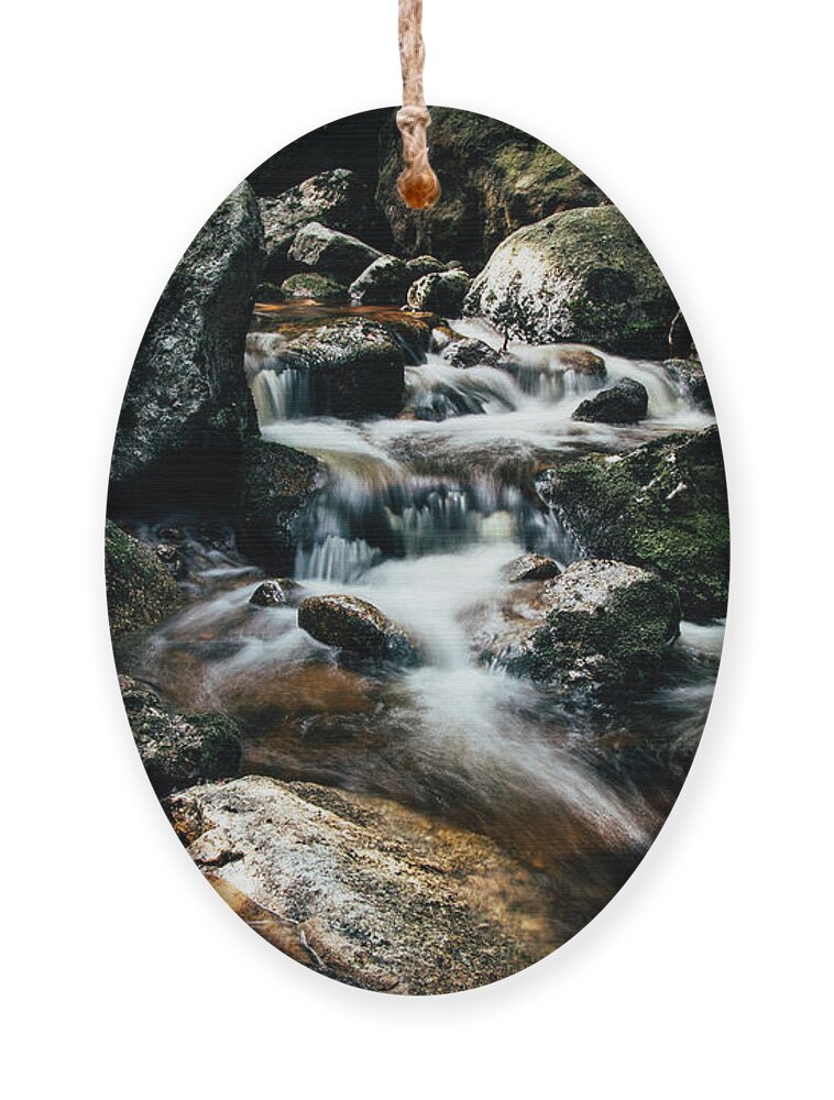 Jizera Mountains Ornament featuring the photograph Picturesque river hidden in the Jizera Mountains by Vaclav Sonnek