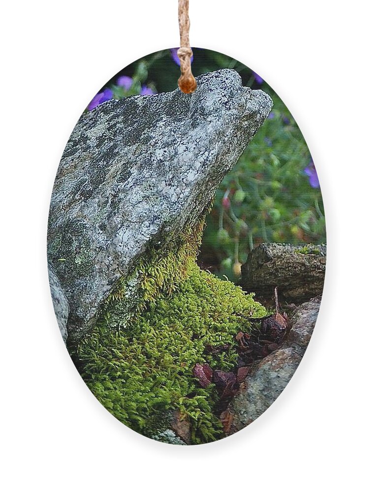 Nature Ornament featuring the photograph Passage To A Garden by Alida M Haslett