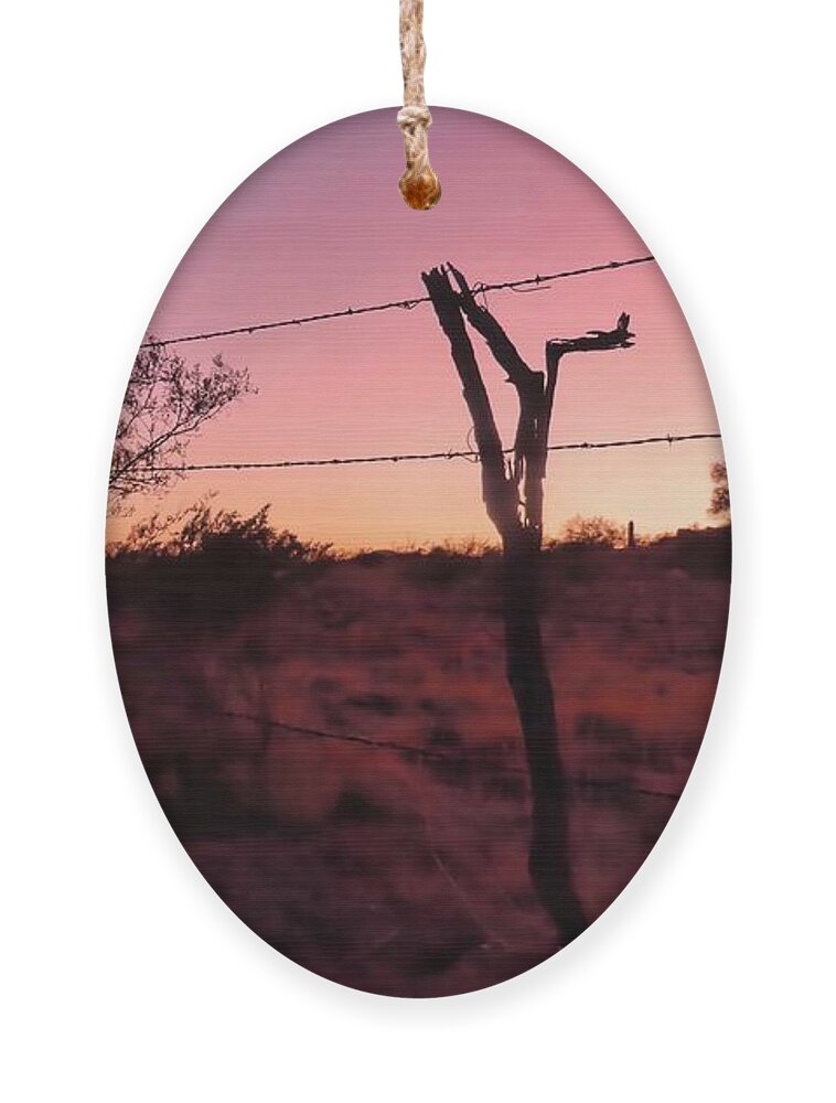 Arizona Ornament featuring the photograph Passing A-Way of Life by Judy Kennedy