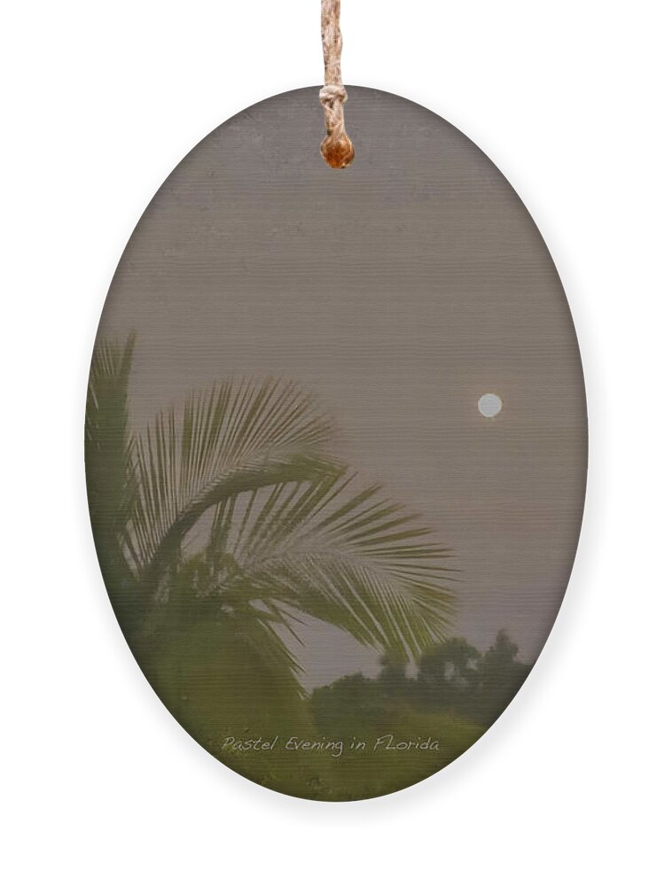 Pastel Ornament featuring the painting Pastel Evening In Florida by Bill McEntee