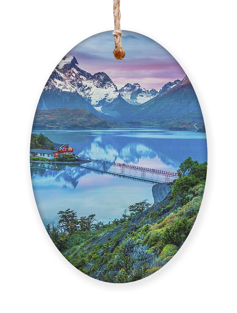 America Ornament featuring the photograph Patagonia Island by Inge Johnsson