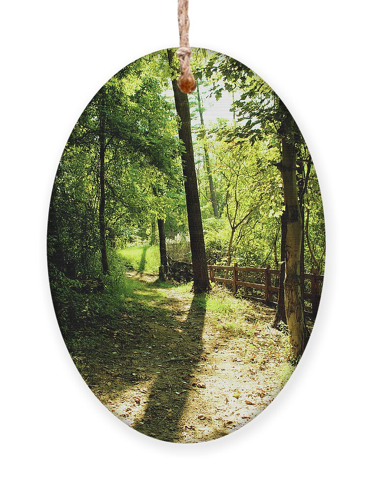 Trees Ornament featuring the photograph Path out of Summer by Christopher Reed
