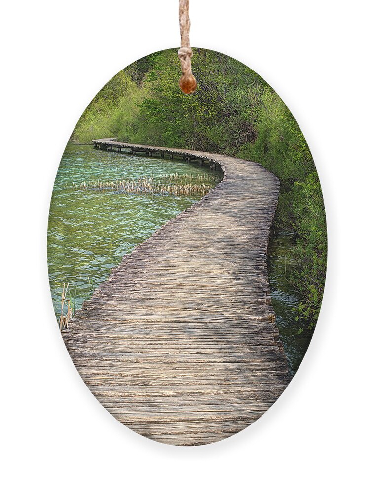 Attraction Ornament featuring the photograph Pathway to Waterfalls 2 by Eggers Photography