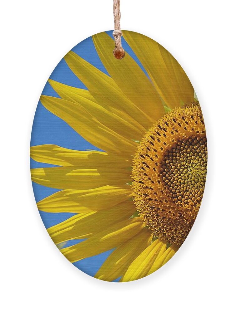 Peace For Ukraine Ornament featuring the photograph Sunflower With Bee by Claudia Zahnd-Prezioso