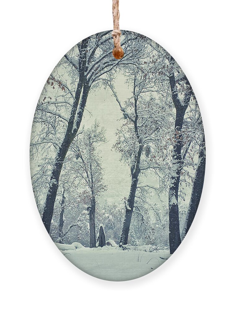 Winter Ornament featuring the photograph Peace by Jonathan Nguyen