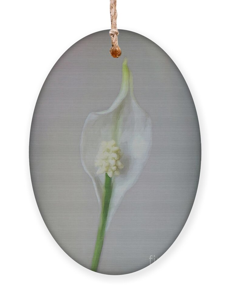 Peace Lily Ornament featuring the photograph Peace Lily by Yvonne Johnstone