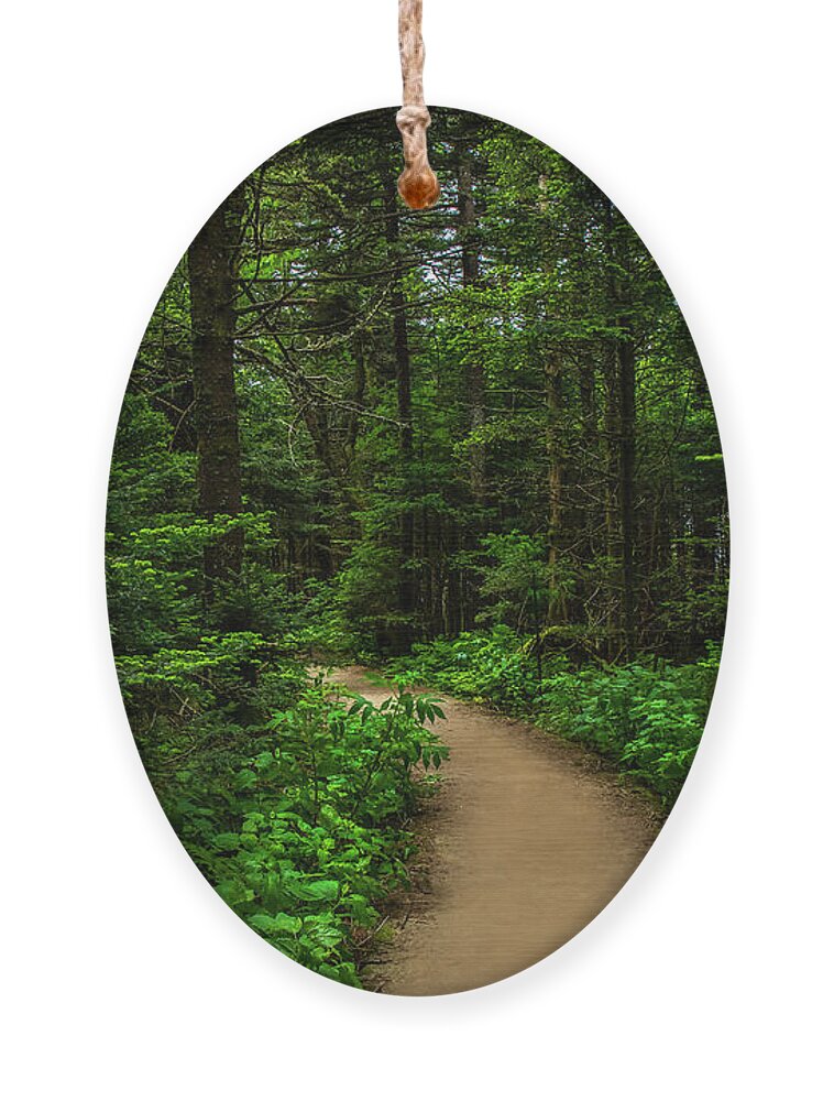 Trail Ornament featuring the photograph Peaceful trail on Roan Mountain by Shelia Hunt