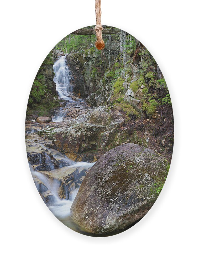 Avalon Path Ornament featuring the photograph Pearl Cascade - White Mountains, New Hampshire by Erin Paul Donovan