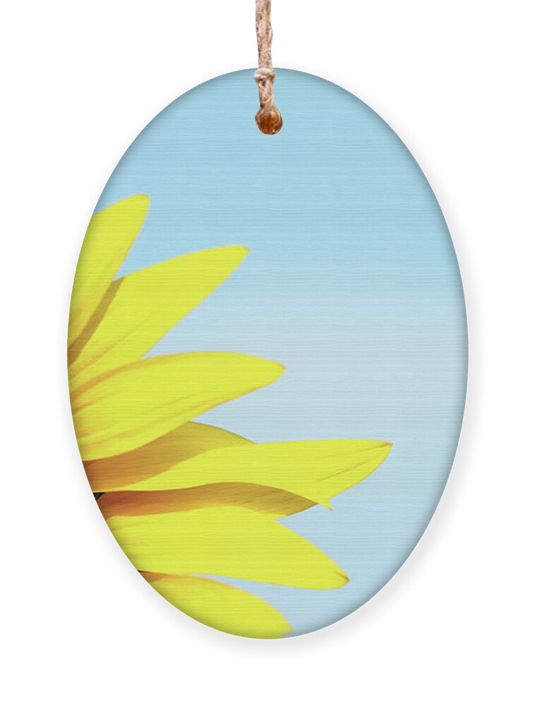 Sunflower Ornament featuring the photograph Peek by Lens Art Photography By Larry Trager