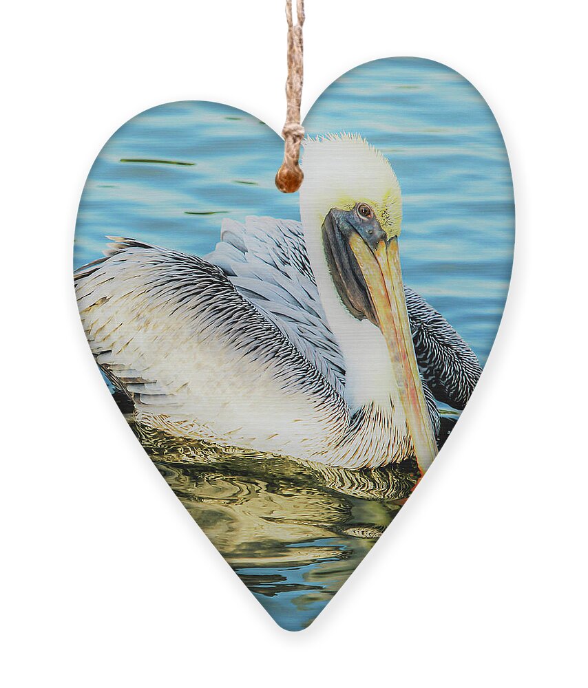 Pelican Ornament featuring the photograph Pelican in Glow by Joanne Carey