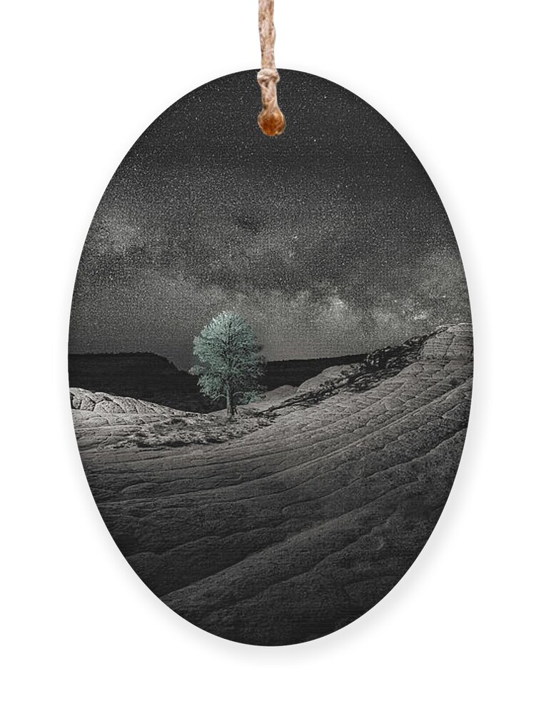 Milky Way Ornament featuring the photograph Photographer at Work Black and white by Judi Kubes