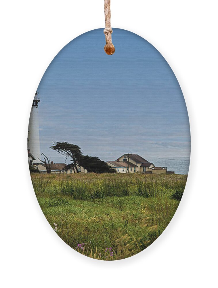 Lighthouse Ornament featuring the photograph Pigeon Point Lighthouse by David Levin