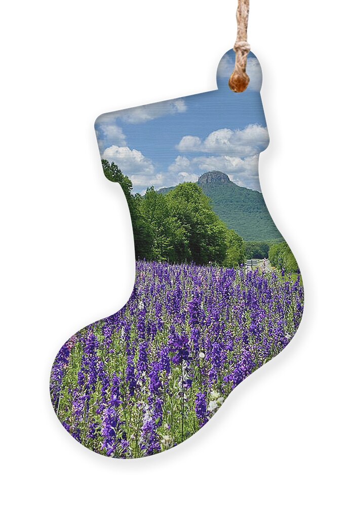 Pilot Mountain Ornament featuring the photograph Pilot Mountain Spring Flowers by Chris Berrier