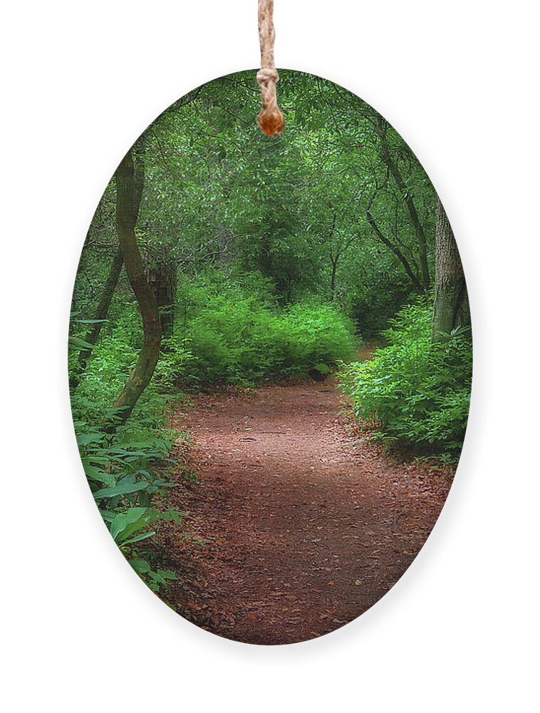 Trail Ornament featuring the photograph Pink Beds Trail II by Shelia Hunt