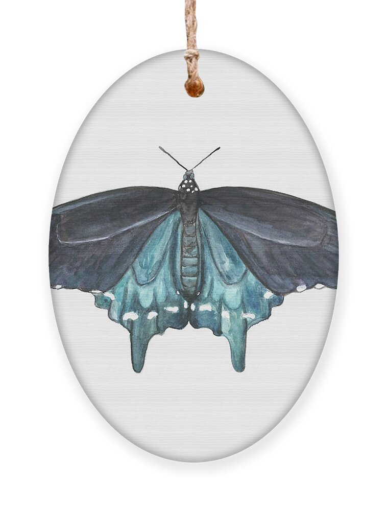 Butterfly Butterflies Florida American Pipevine Swallowtail Blue Navy Transformation Watercolor Ornament featuring the painting Pipevine Swallowtail Butterfly by Pamela Schwartz