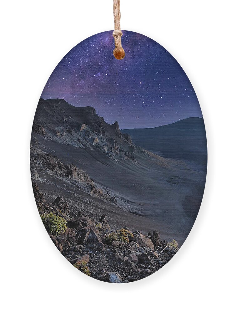 Planet Ornament featuring the photograph Planet Life by Scott Olsen