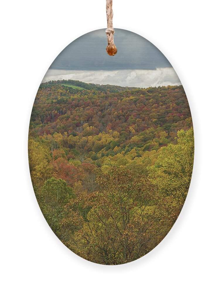 Solitary Meadow Ornament featuring the photograph Pocket Meadow by Steve Templeton