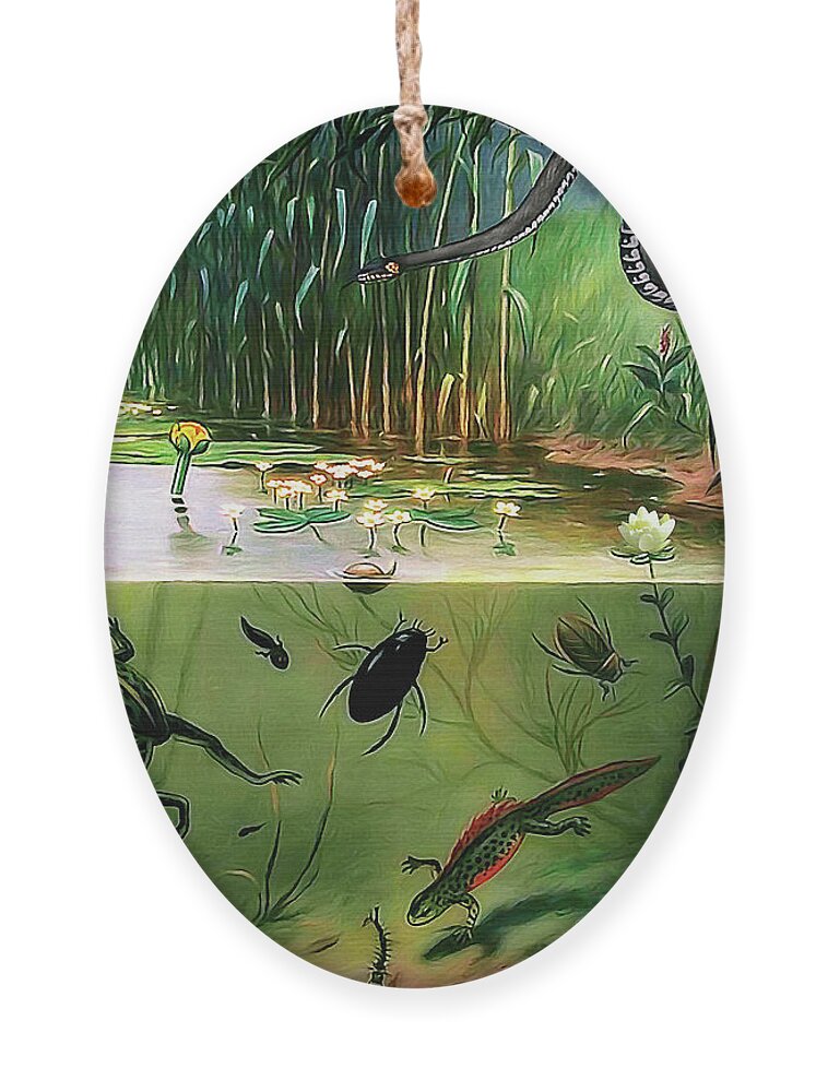 Frog Ornament featuring the digital art Pond Life by Pennie McCracken