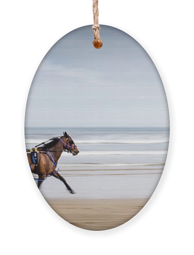 Pony Ornament featuring the photograph Pony and Trap by Nigel R Bell