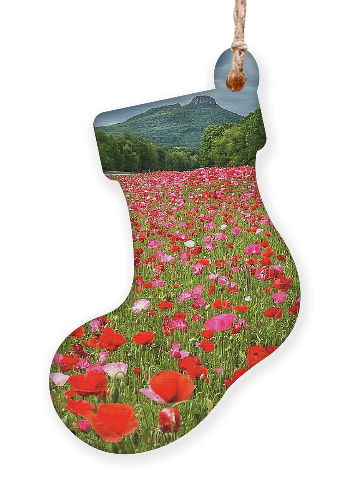  Ornament featuring the photograph Poppies at Pilot Mountain by Chris Berrier