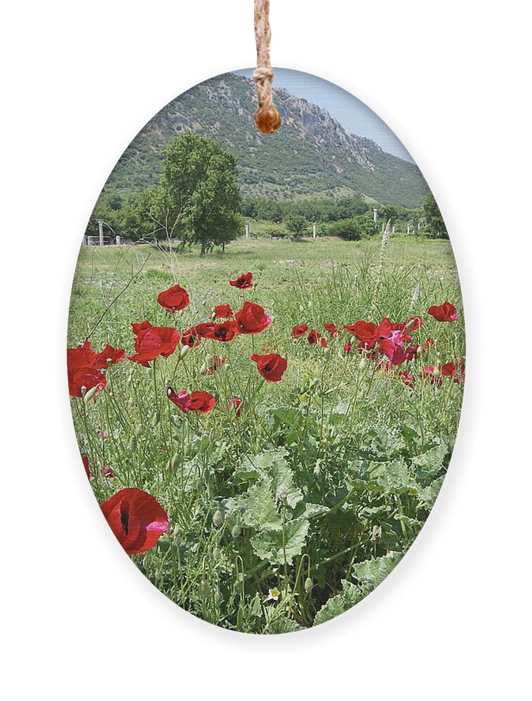 Turkey Ornament featuring the photograph Poppies in Ephesus by Lisa Mutch