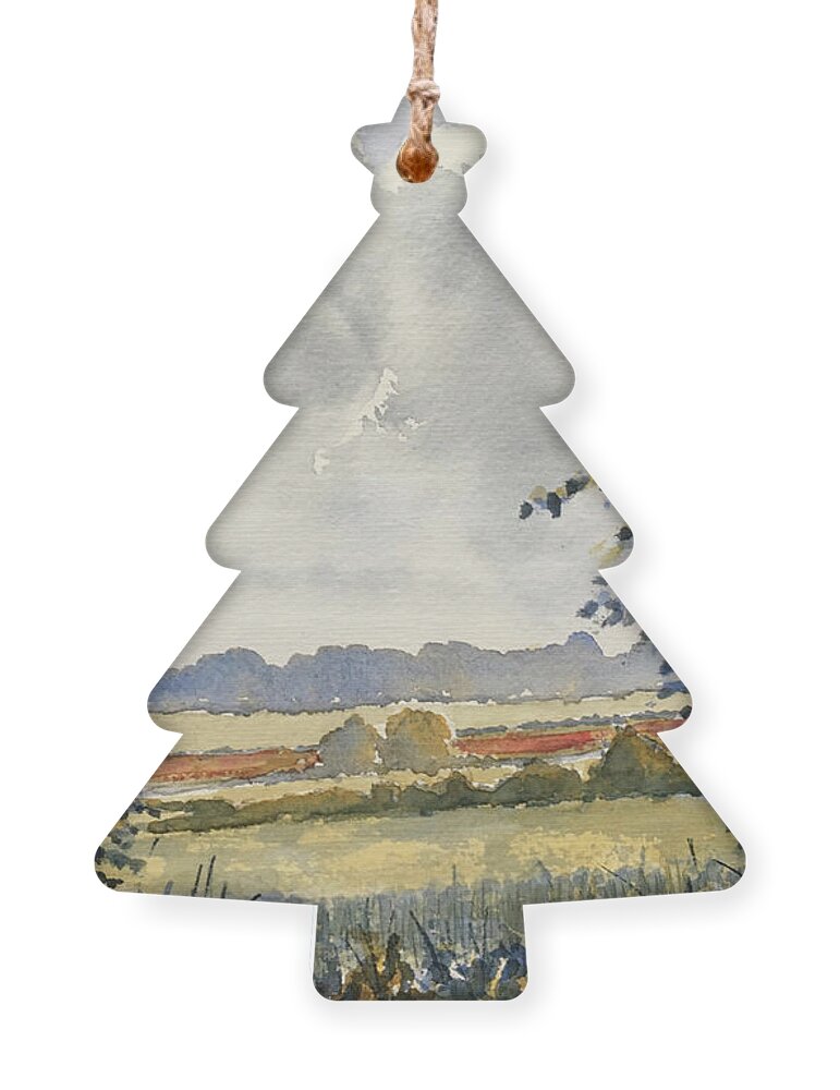 Watercolour Ornament featuring the painting Poppies near Sledmere by Glenn Marshall