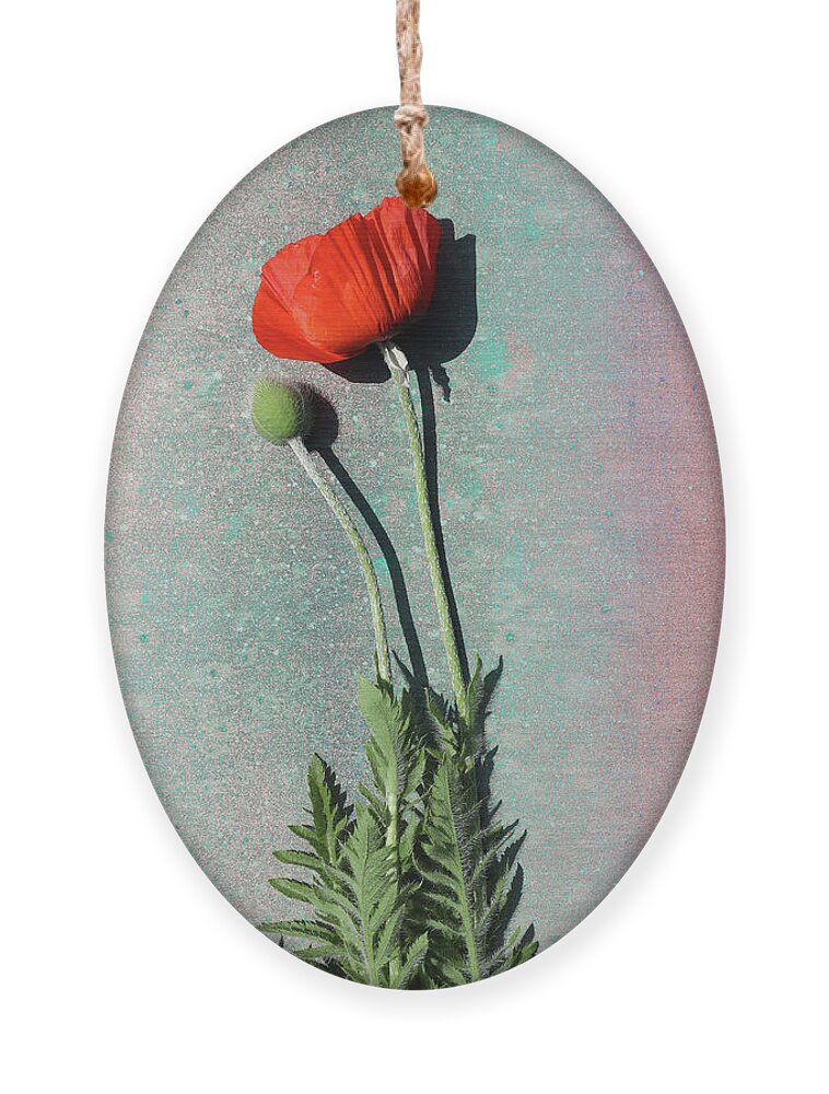 Poppy Ornament featuring the photograph Poppy by Paul Gaj
