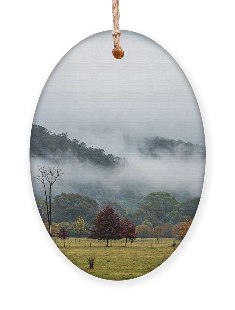 Fog Ornament featuring the photograph Porpunkah Fog by Vicki Walsh