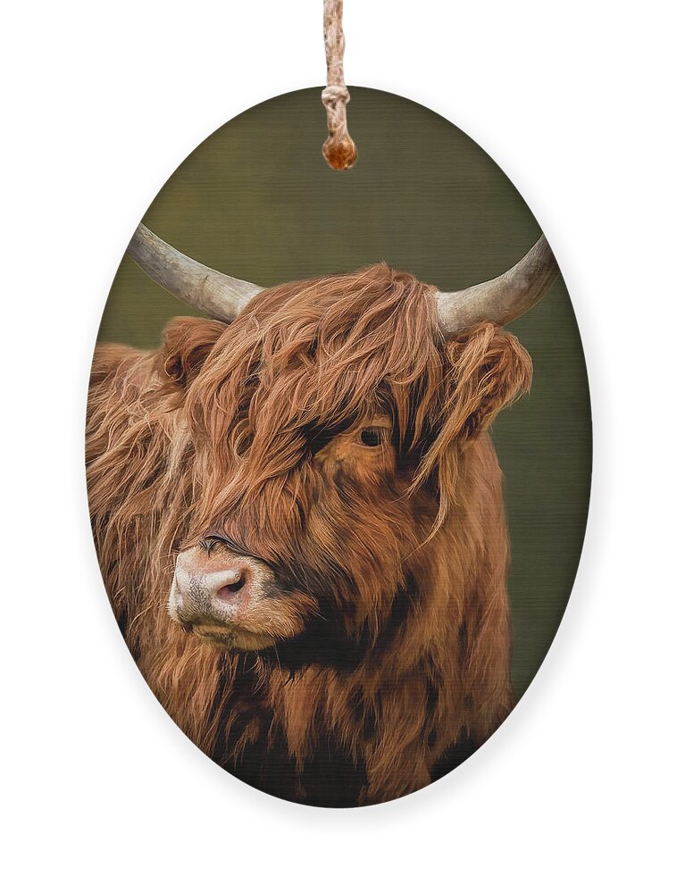 Scottish Highlander Portrait Ornament featuring the digital art Portrait Scottish Highlander cow with warm background by Marjolein Van Middelkoop