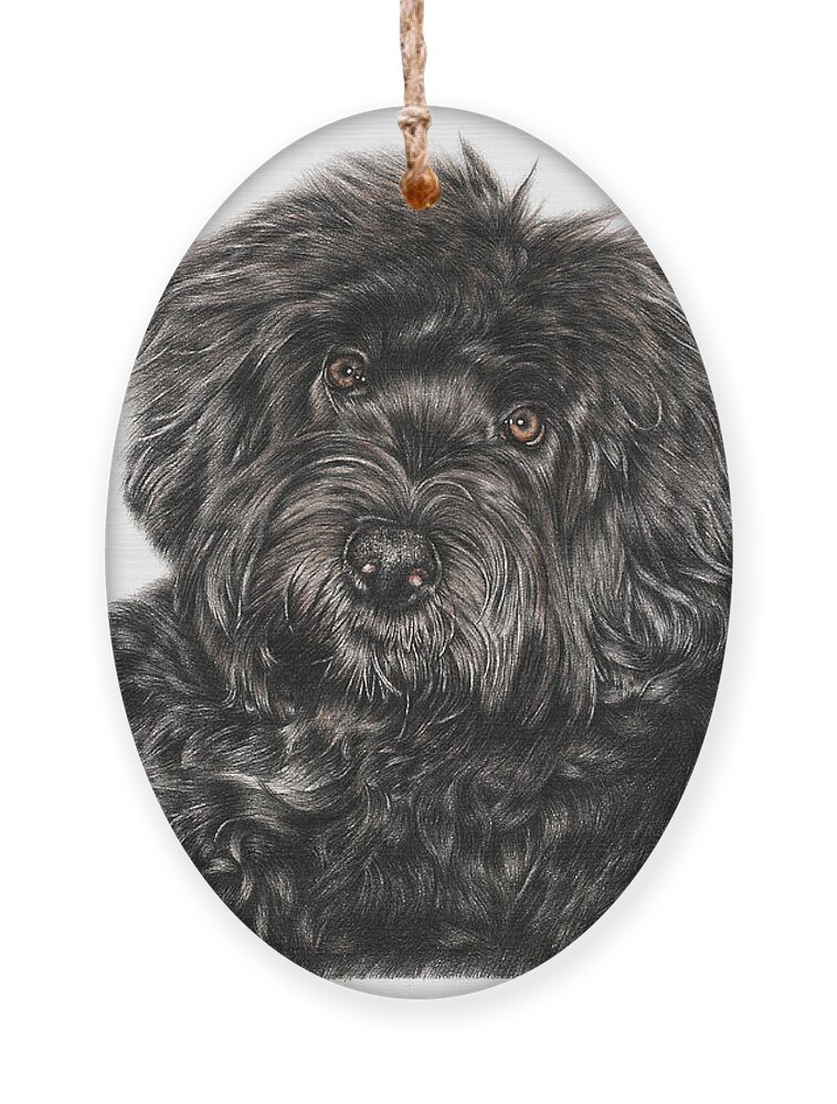Portuguese Water Dog Ornament featuring the drawing Portuguese Water Dog Toby by Casey 'Remrov' Vormer
