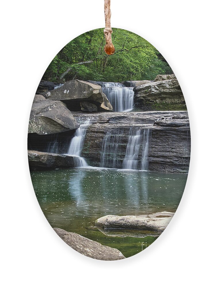 Ornament featuring the photograph Potter's Falls 12 by Phil Perkins