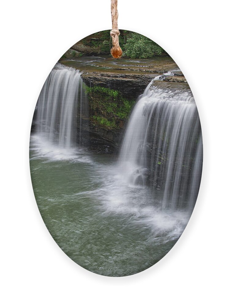 Waterfall Ornament featuring the photograph Potter's Falls 9 by Phil Perkins