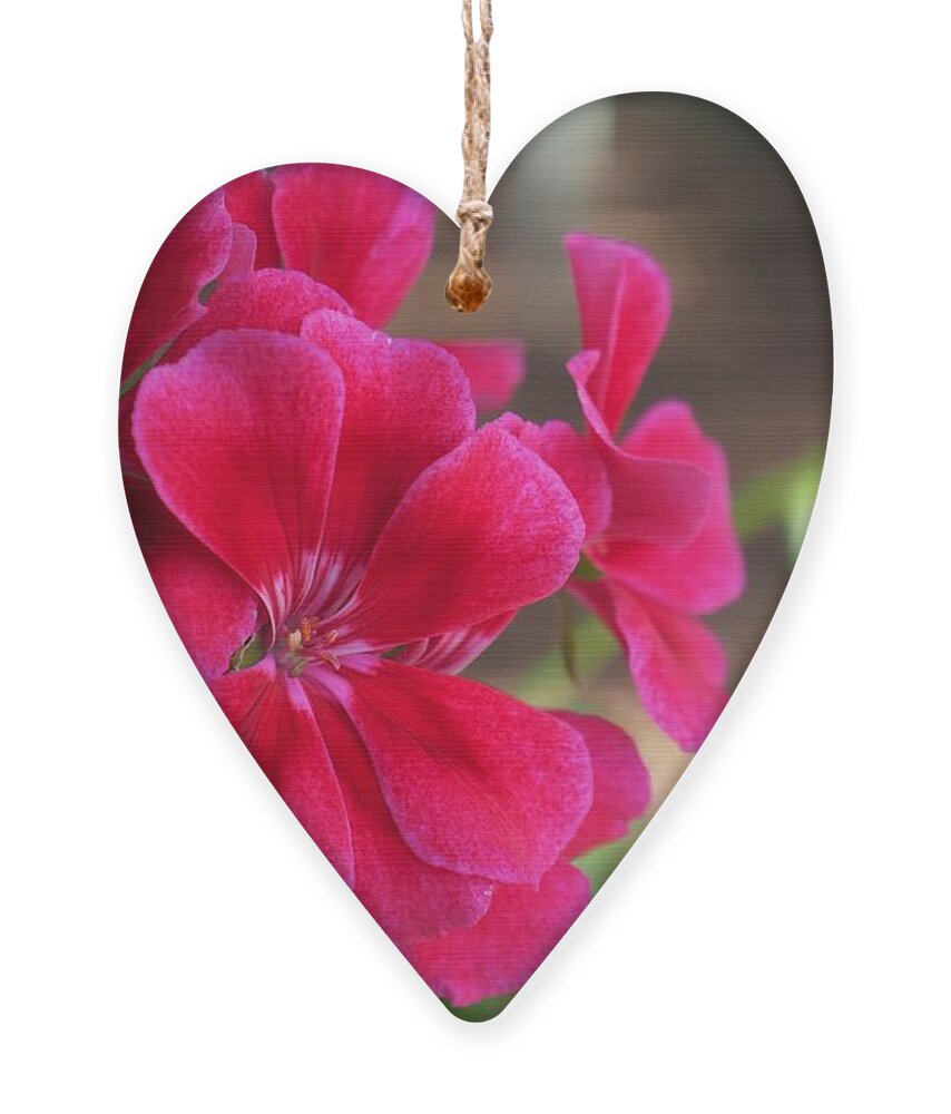 Red Ornament featuring the photograph Pretty Flower 5 by C Winslow Shafer
