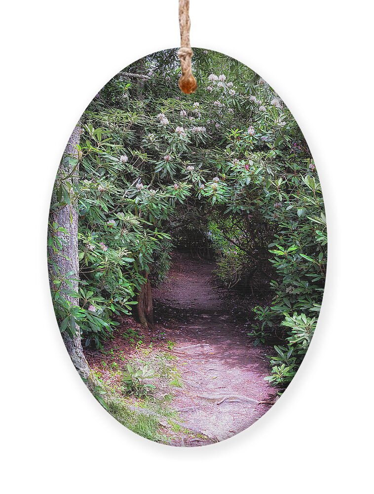 Rhododendron Ornament featuring the photograph Price Lake Rhododendron Tunnel - Blue Ridge Parkway by Susan Rissi Tregoning