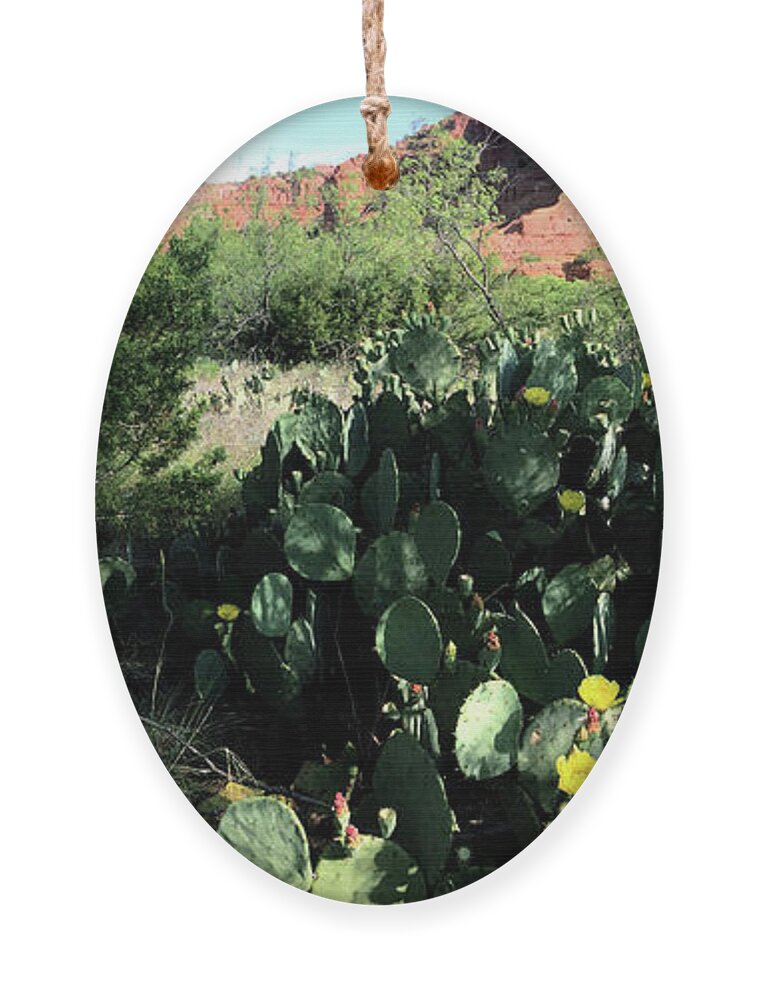Richard Porter Ornament featuring the photograph Prickly Pears - Caprock Canyons State Park, Texas by Richard Porter