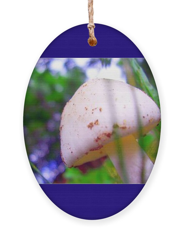 Mushroom Ornament featuring the photograph Prismashroom by Vicki Noble