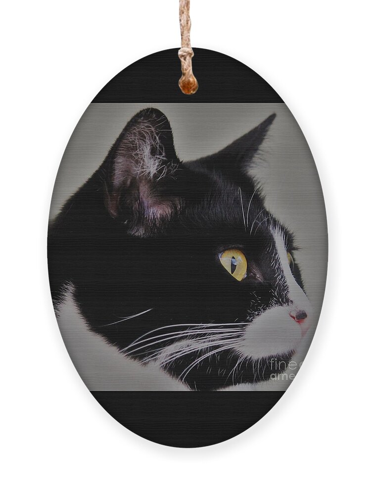 Cats Ornament featuring the photograph Profile of a black and white cat by Joanne Carey