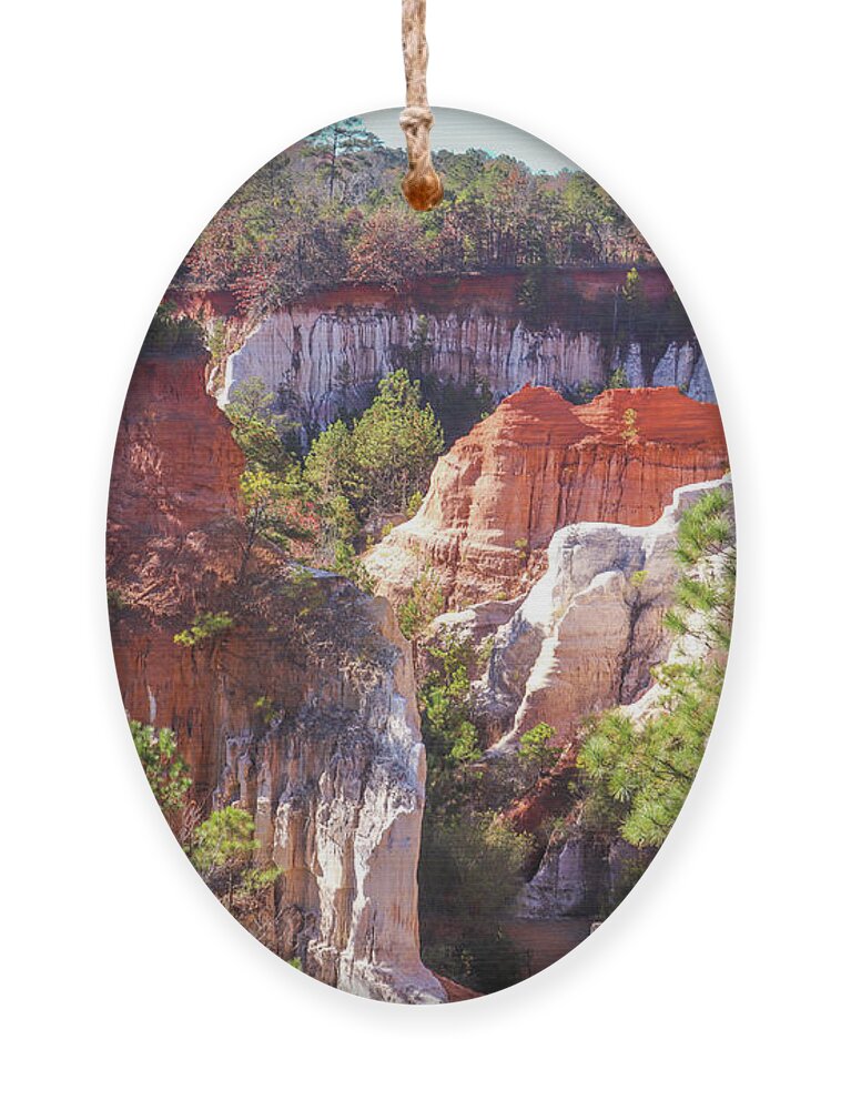 Providence Canyon State Park Ornament featuring the photograph Providence Canyon Across by Ed Williams