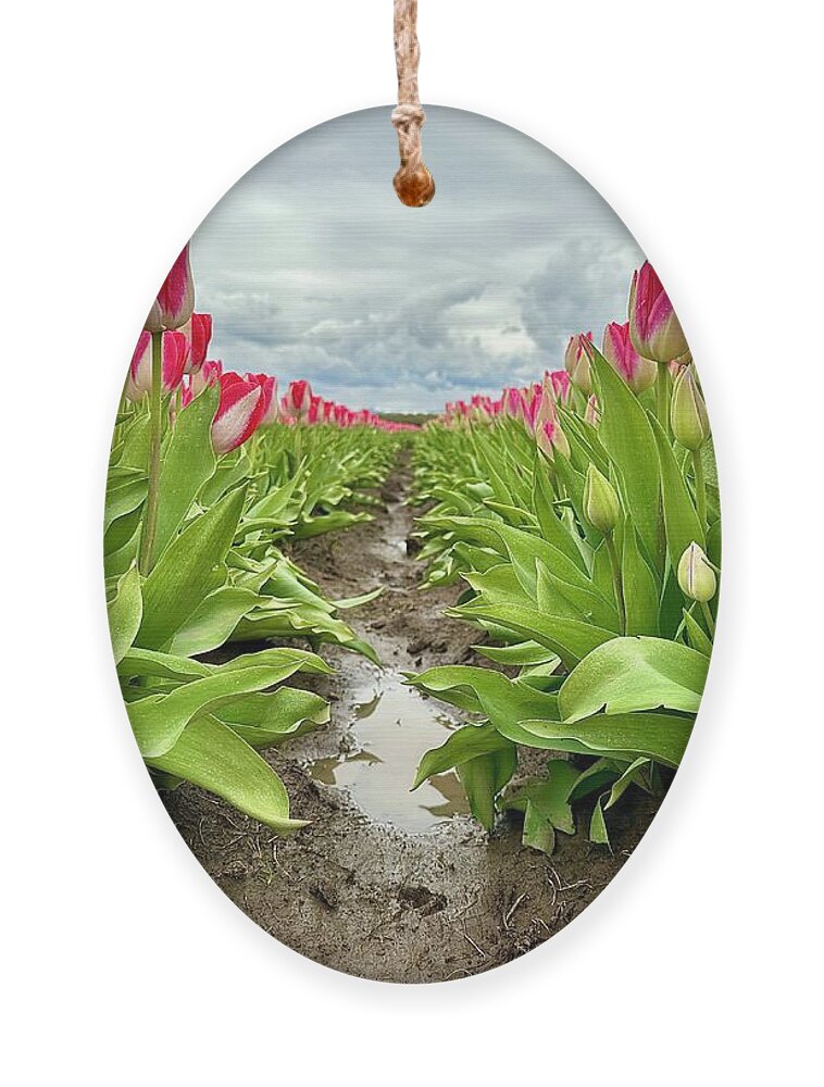 Tulip Ornament featuring the photograph Puddles and Petals by Brian Eberly