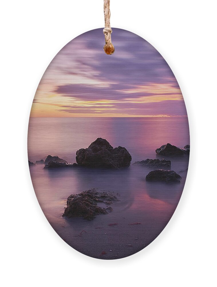 Florida Ornament featuring the photograph Purple Fall Florida Sunset by Mark Rogers