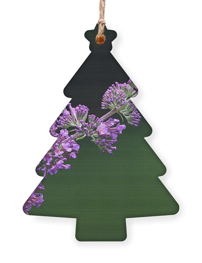 Flowers Ornament featuring the photograph Purple Flowers of a Butterfly Bush by Trina Ansel