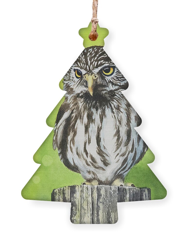 Nature Ornament featuring the painting Pygmy Owl by Linda Shannon Morgan
