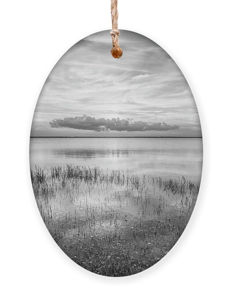 Black Ornament featuring the photograph Quiet Evening on the Marsh Black and White by Debra and Dave Vanderlaan