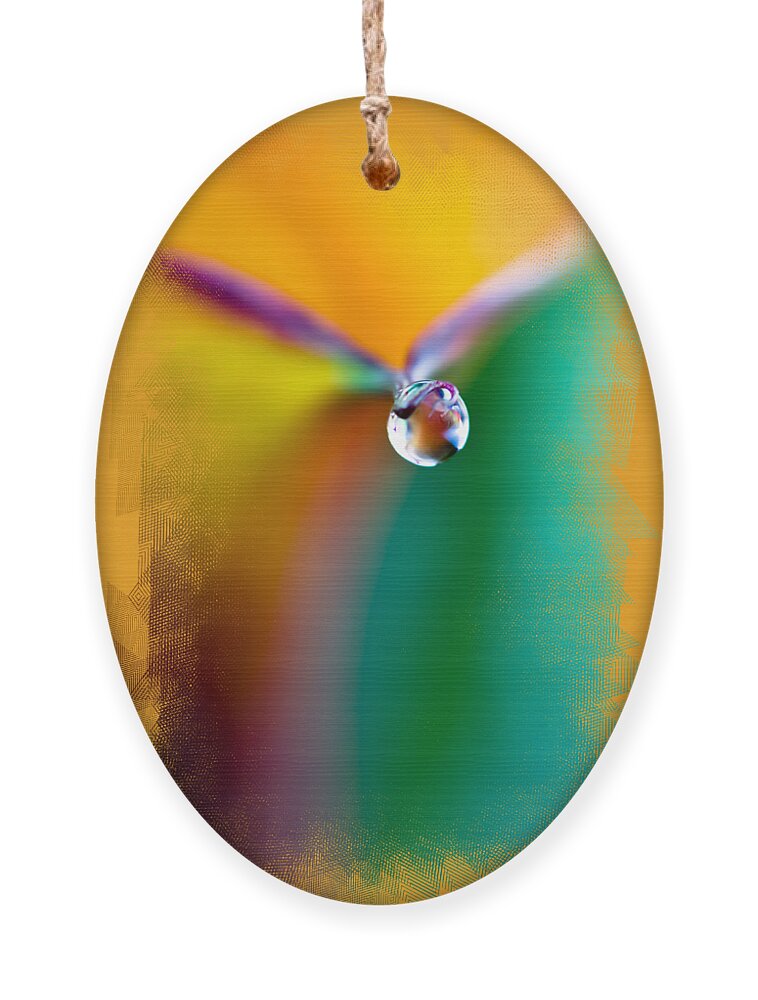 Rainbow Drop Ornament featuring the photograph Rainbow Drop by Crystal Wightman