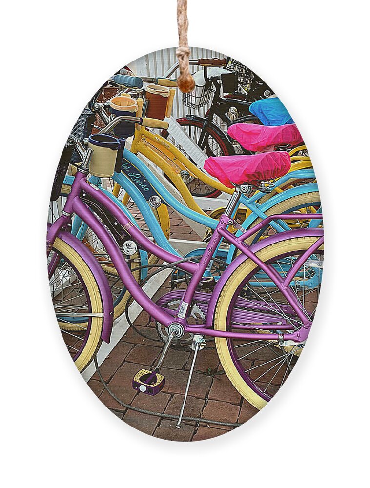 Bicycle Ornament featuring the photograph Rainbow on Wheels by Lee Darnell