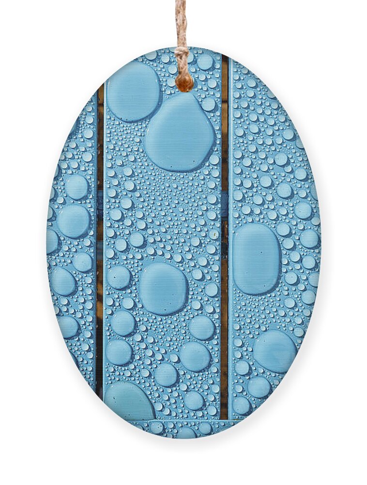Rain Ornament featuring the photograph Raindrops 1 by Nigel R Bell