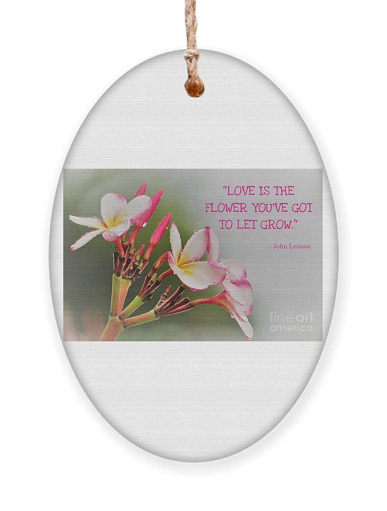 Flowers Ornament featuring the photograph Raindrops and Plumeria Blooms by Joanne Carey